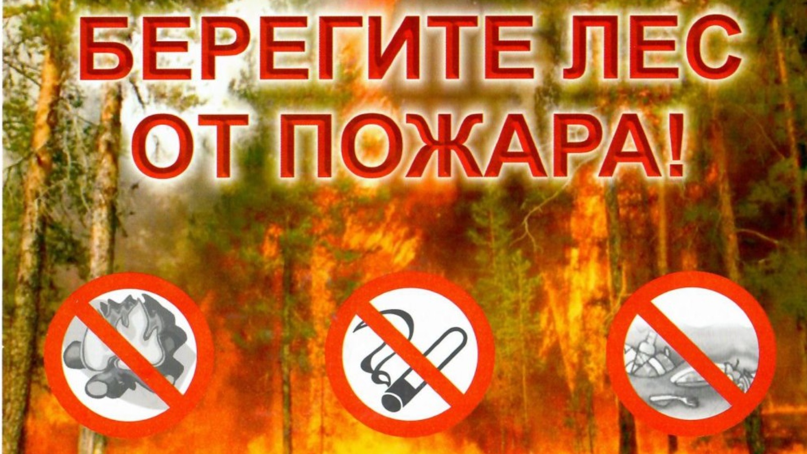 Сохраним лес от пожаров!.