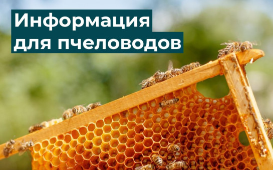 Вниманию пчеловодов!.