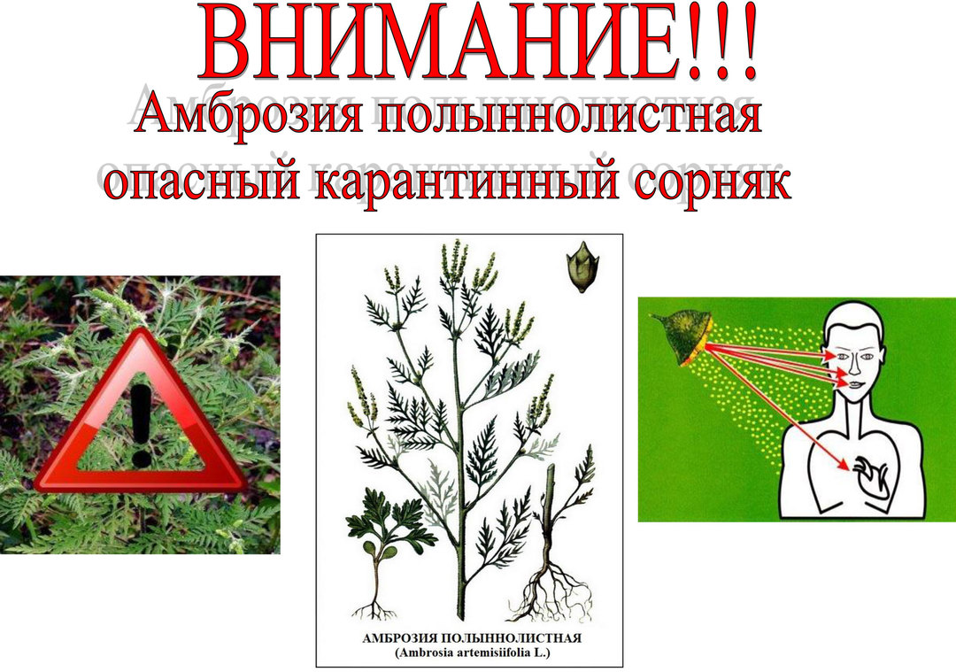 Внимание!.