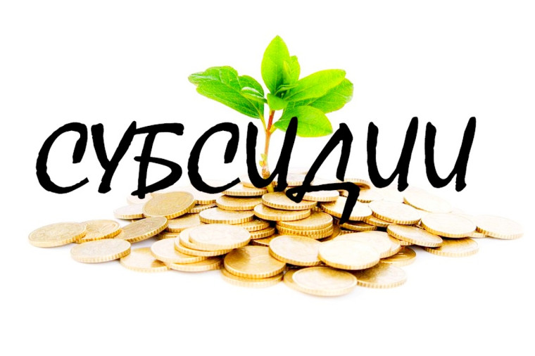 Итоговые оценки конкурсного отбора на предоставление субсидии.. Итоговые оценки конкурсного отбора на предоставление субсидии..