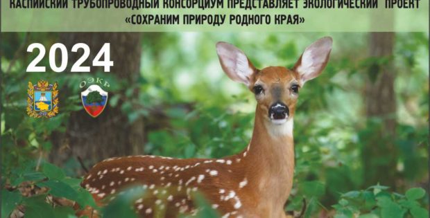 Компания проводит тематические открытые уроки и приглашает детей принять участие конкурсах. Компания проводит тематические открытые уроки и приглашает детей принять участие конкурсах.