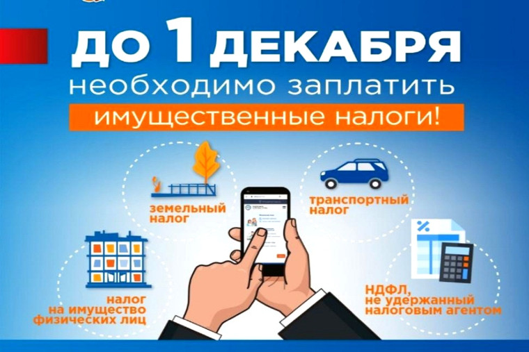 Уплатить имущественные налоги необходимо не позднее 1 декабря. Уплатить имущественные налоги необходимо не позднее 1 декабря.