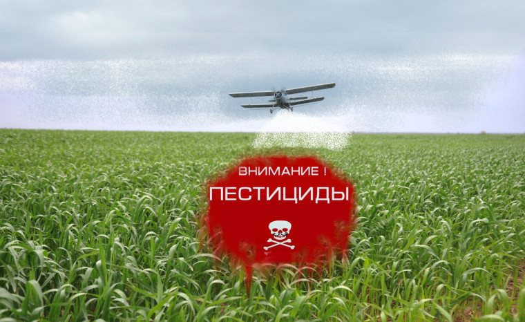 О необходимости информирования пчеловодов и владельцев пасек о предстоящих обработках пестицидами сельхозугодий. О необходимости информирования пчеловодов и владельцев пасек о предстоящих обработках пестицидами сельхозугодий.