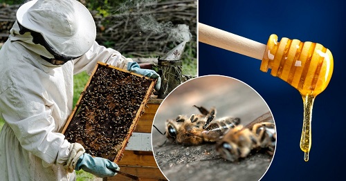 О мероприятиях по предотвращению гибели пчел, в связи с применением пестицидов и агрохимикатов.